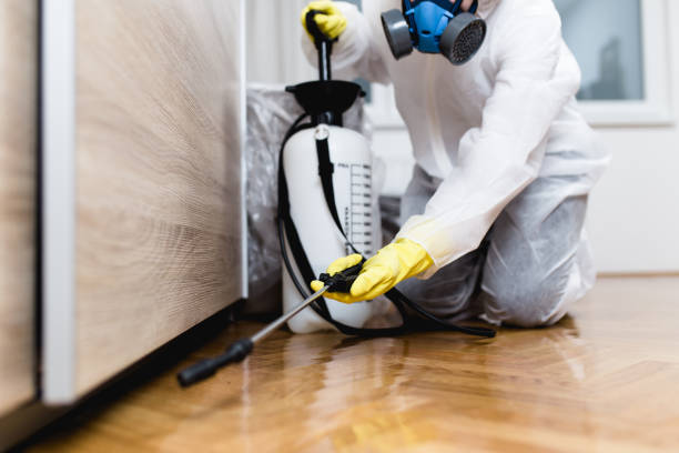 Best Mosquito Control Services  in North Vernon, IN