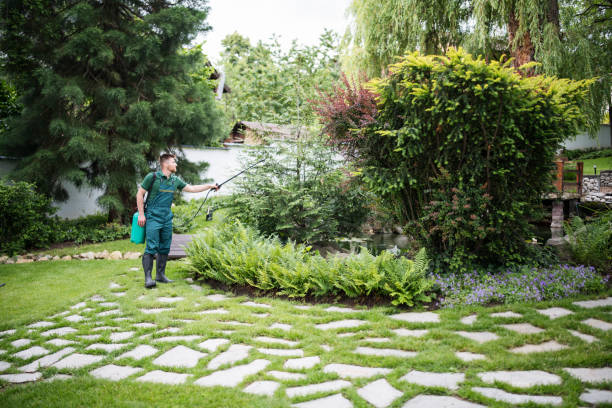 Best Ant Control Services  in North Vernon, IN