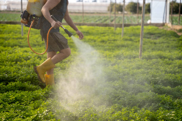 Best Residential Pest Control  in North Vernon, IN